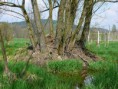 /album/fotogalerie/p1060855-jpg/